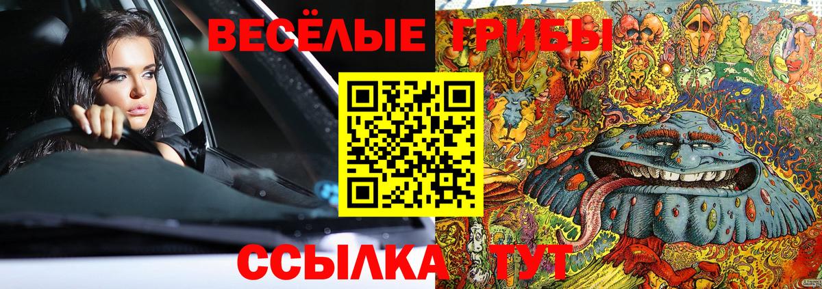 Галлюциногенные грибы мухоморы Гурьевск