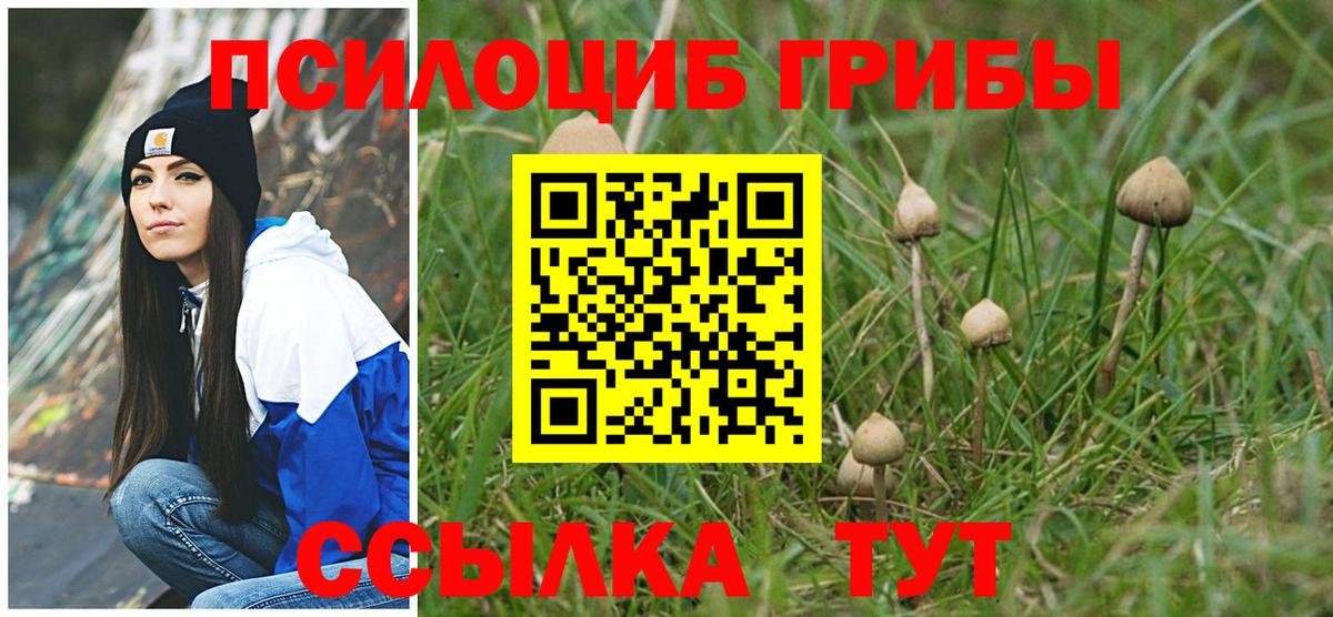 Галлюциногенные грибы ЛСД  Вход с VPN  Гурьевск 